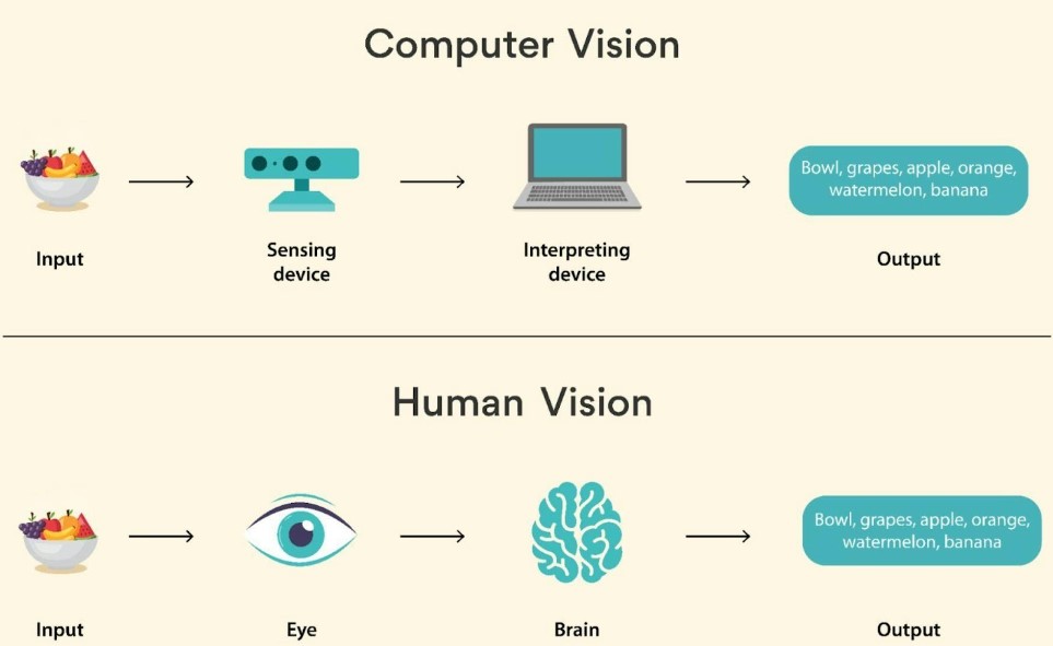 Figure 1 – Direct comparison of object interpretation between Computer Vision and human vision (Turing, n.d.).