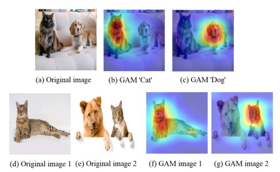 Visual explanations produced by GAM for similarity and classification tasks. Source: Hertz, 2021