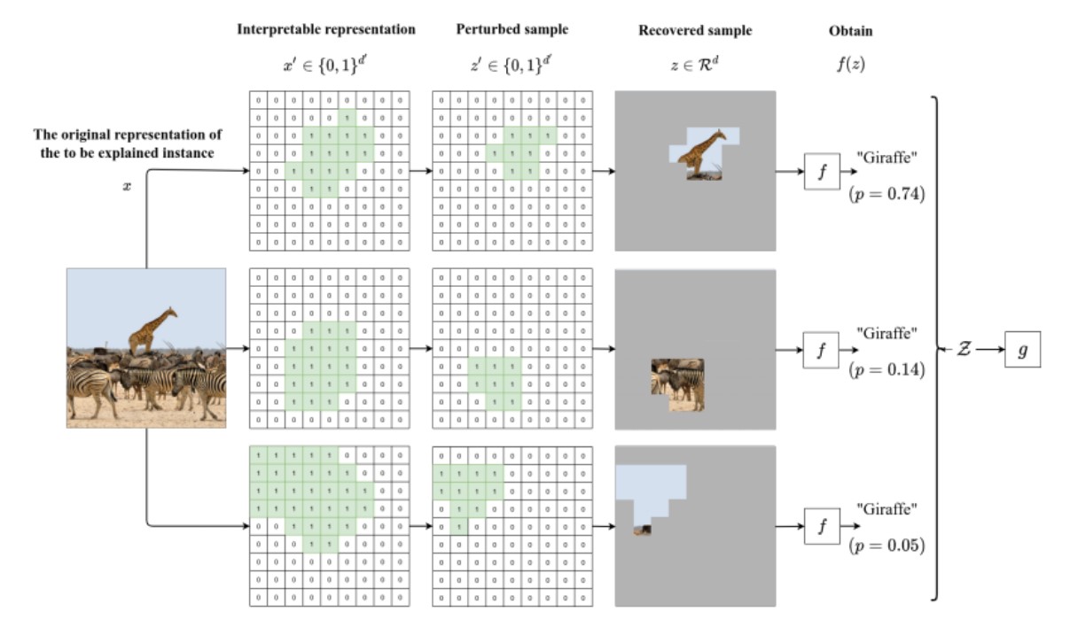 An image example explaining the process behind LIME. Source: Ras, Xie, van Gerven and Doran, 2020